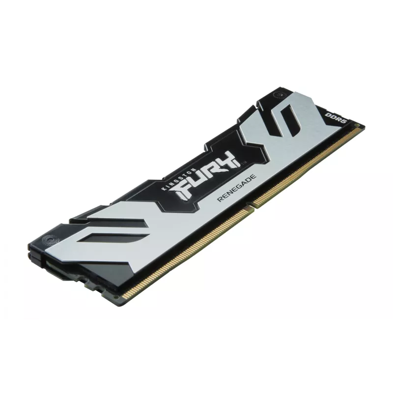 Kingston Technology FURY 16GB 6400MT/s DDR5 CL32 DIMM Renegade Sidabrinė