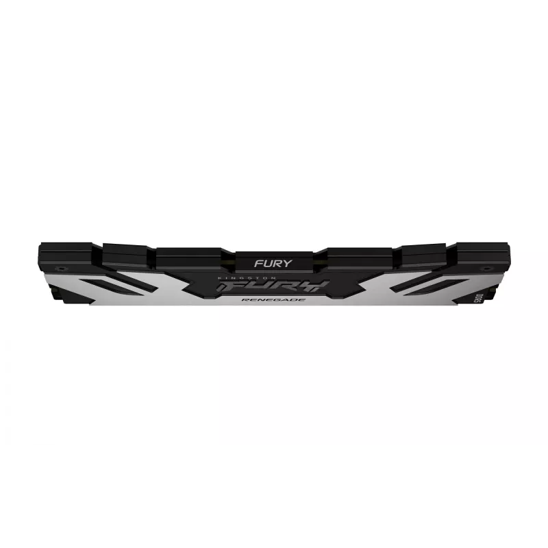 Kingston Technology FURY 16GB 6400MT/s DDR5 CL32 DIMM Renegade Sidabrinė