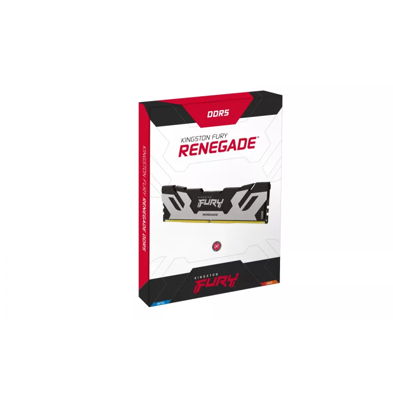 Kingston Technology FURY 16GB 6400MT/s DDR5 CL32 DIMM Renegade Sidabrinė