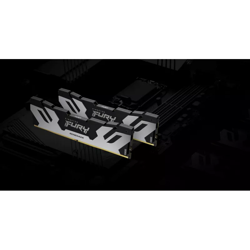 Kingston Technology FURY 16GB 6400MT/s DDR5 CL32 DIMM Renegade Sidabrinė