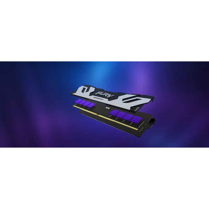 Kingston Technology FURY 16GB 6400MT/s DDR5 CL32 DIMM Renegade Sidabrinė