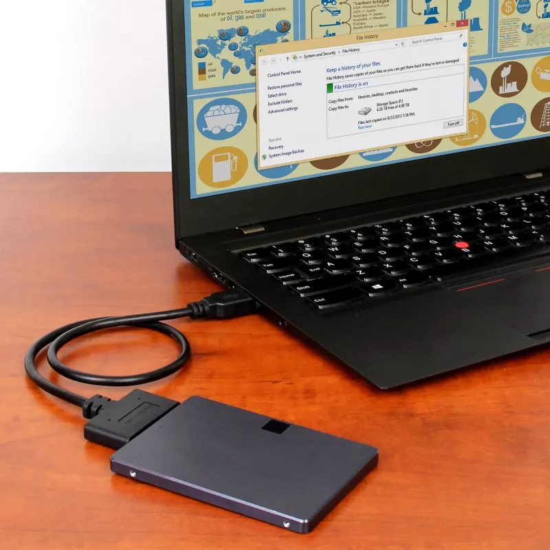 StarTech.com USB 3.1 – 2,5 colio SATA kietojo disko adapteris – USB 3.1 Gen 2 10Gbps su UASP išoriniu HDD/SSD saugyklos keitikliu
