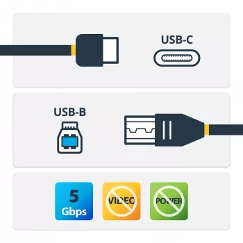 StarTech.com USB-C į USB-B laidas - M/M - 2 m (6 ft.) - USB 3.0