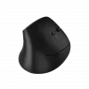 Pelė CANYON MW-25 Ergonominė LED AA Dviejų režimų Belaidė Juoda
