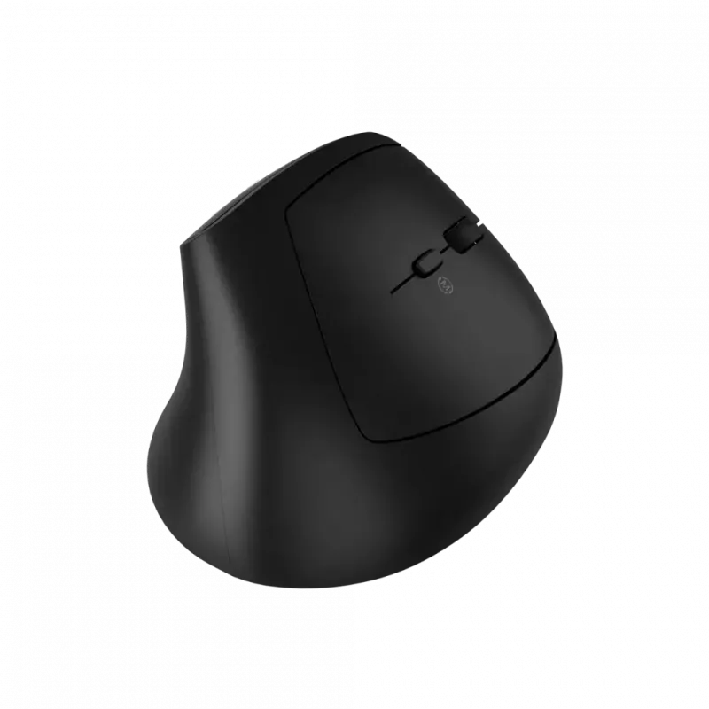 Pelė CANYON MW-25 Ergonominė LED AA Dviejų režimų Belaidė Juoda