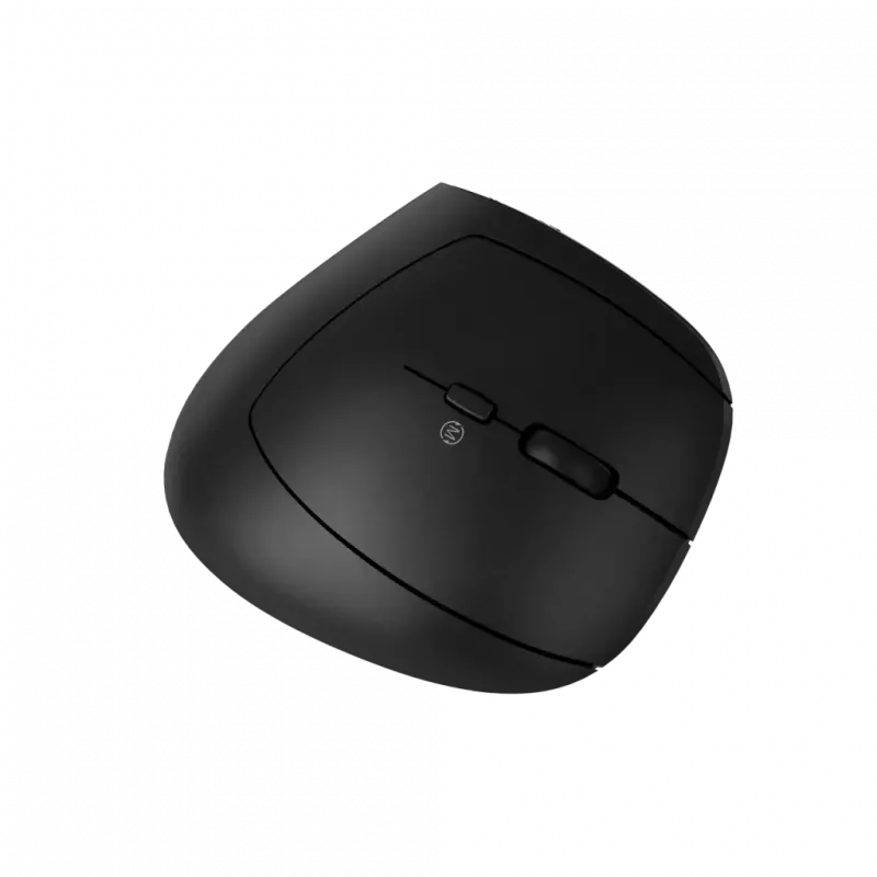 Pelė CANYON MW-25 Ergonominė LED AA Dviejų režimų Belaidė Juoda