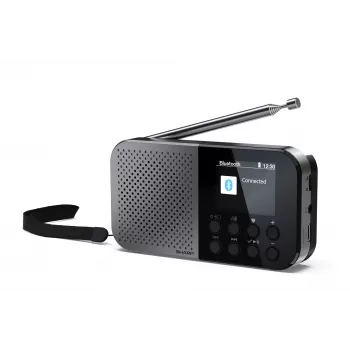 Nešiojamas radijas Sharp DR-P520 skaitmeninis imtuvas DAB DAB+ FM