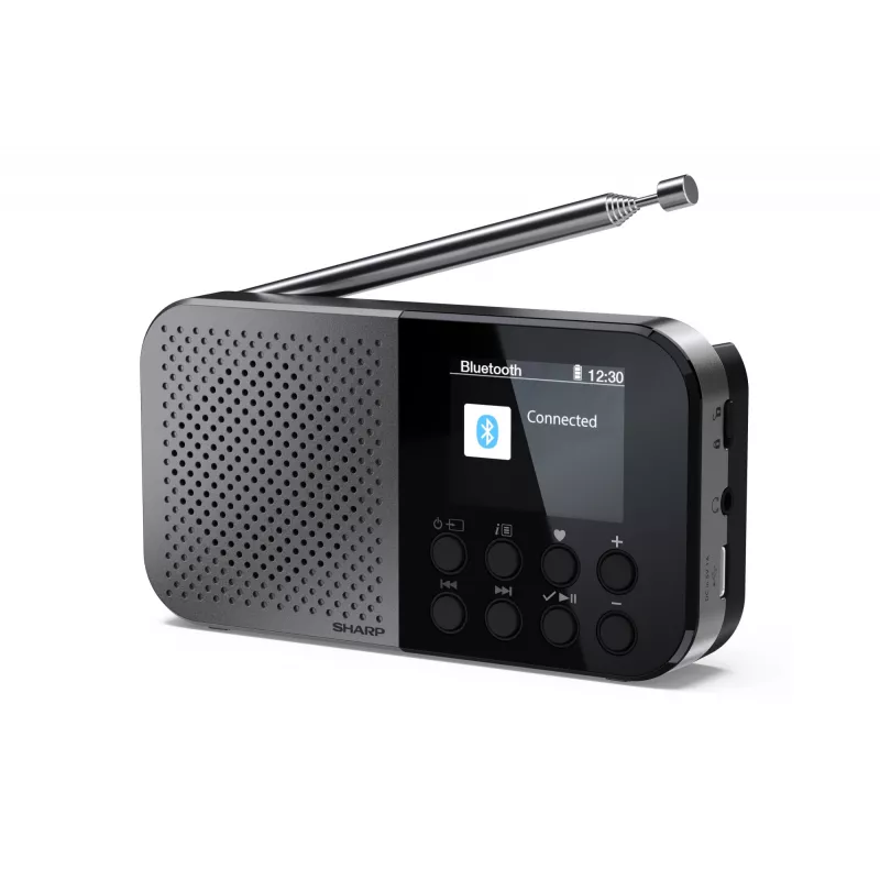 Nešiojamas radijas Sharp DR-P520 skaitmeninis imtuvas DAB DAB+ FM