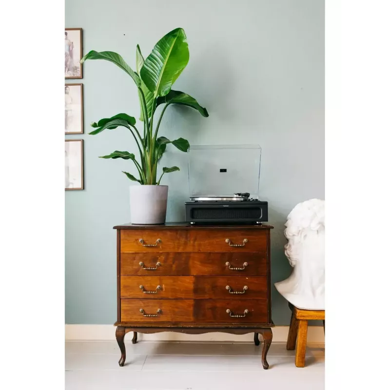 Pavarų diržu varomas vinilinis grotuvas Lenco LS-430BK juodas 40W Bluetooth