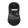 ZOWIE U2 belaidė pelė žaidimams Ambidekstrinė RF Wireless Optinė 3200 DPI
