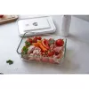 Dėžutė ZWILLING FRESH & SAVE stačiakampė 2 L pilka