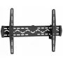 TV laikiklis Reflecta 23141 152,4 cm (60 colių) Juodas