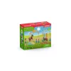 Ponių vikrumo treniruotės rinkinys Schleich 42481 įvairiaspalvis plastikinis 3–8 metams