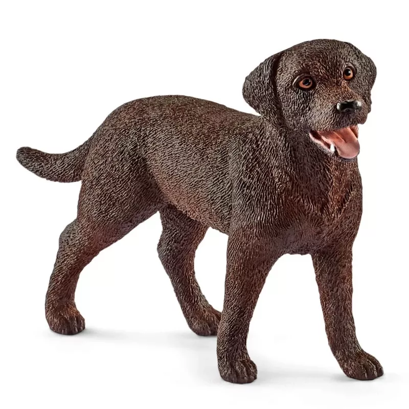 Veterinaro vizitas ūkyje Schleich FARM WORLD 42503