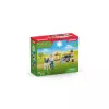 Veterinaro vizitas ūkyje Schleich FARM WORLD 42503