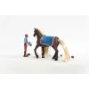 Schleich HORSE CLUB Sofia’s Beauties pradžios rinkinys Leo ir Rocky, įvairiaspalvis