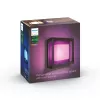 Philips Hue White and colour ambience Econic lauko sieninis šviestuvas