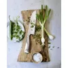 WMF Grand Gourmet 1880406032 Nerūdijantis plienas 1 vnt. Smulkintuvinis peilis