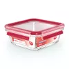 EMSA CLIP & CLOSE N10414 kvadratinis indas 0,8 l skaidrus 1 vnt.