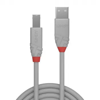Lindy 2m USB 2.0 Type A–B laidas, Anthra Line, pilkas