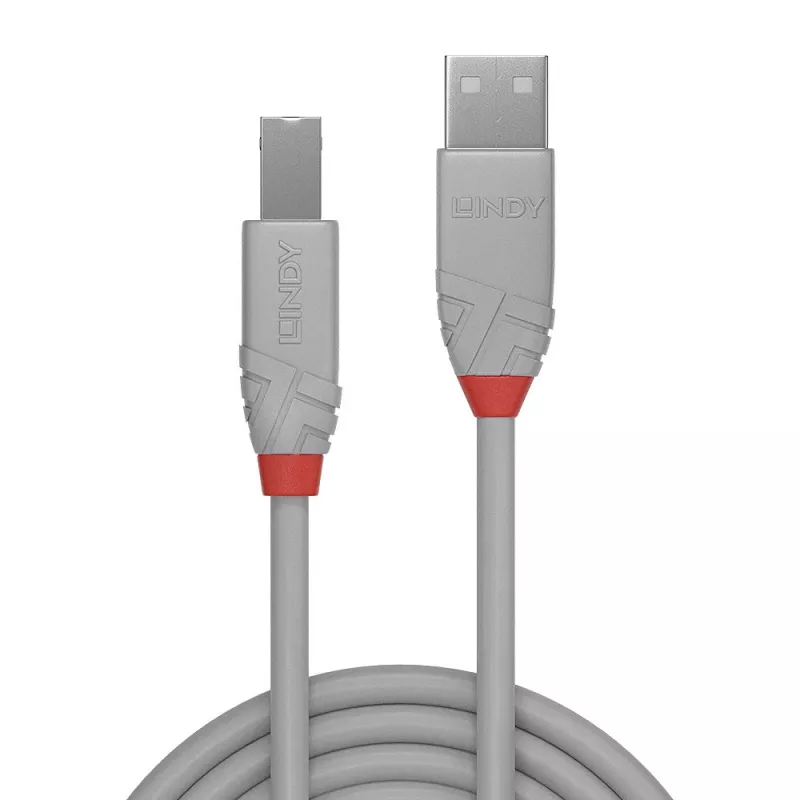 Lindy 2m USB 2.0 Type A–B laidas, Anthra Line, pilkas