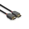 Lindy 1m DisplayPort 1.4 laidas, Anthra Line