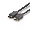 Lindy 1m DisplayPort 1.4 laidas, Anthra Line