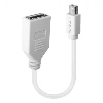 Lindy 0,20 m Mini DisplayPort į DisplayPort adapterio laidas, 0,15 m, Mini DisplayPort, DisplayPort, Kištukas, Lizdas, Baltas