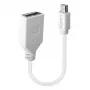 Lindy 0,20 m Mini DisplayPort į DisplayPort adapterio laidas, 0,15 m, Mini DisplayPort, DisplayPort, Kištukas, Lizdas, Baltas