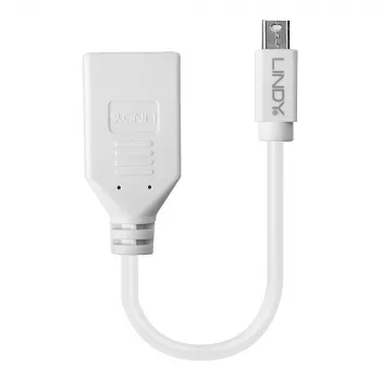 Lindy 0,20 m Mini DisplayPort į DisplayPort adapterio laidas, 0,15 m, Mini DisplayPort, DisplayPort, Kištukas, Lizdas, Baltas