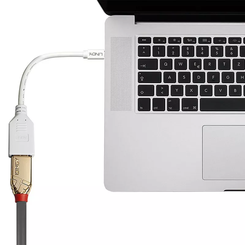 Lindy 0,20 m Mini DisplayPort į DisplayPort adapterio laidas, 0,15 m, Mini DisplayPort, DisplayPort, Kištukas, Lizdas, Baltas