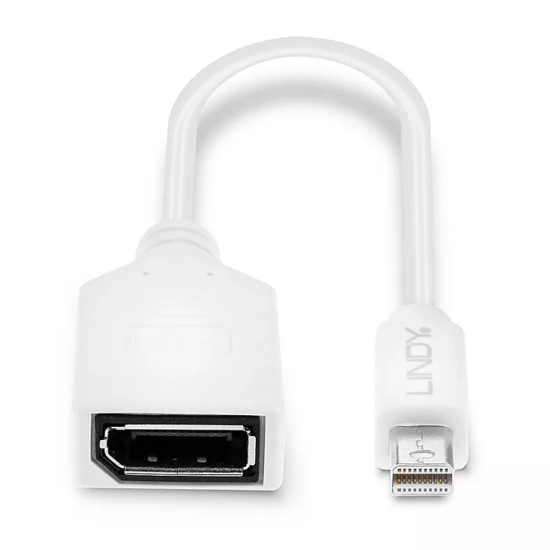 Lindy 0,20 m Mini DisplayPort į DisplayPort adapterio laidas, 0,15 m, Mini DisplayPort, DisplayPort, Kištukas, Lizdas, Baltas