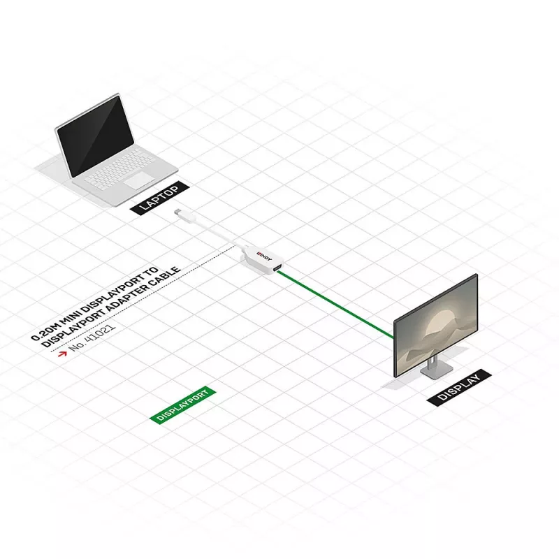 Lindy 0,20 m Mini DisplayPort į DisplayPort adapterio laidas, 0,15 m, Mini DisplayPort, DisplayPort, Kištukas, Lizdas, Baltas