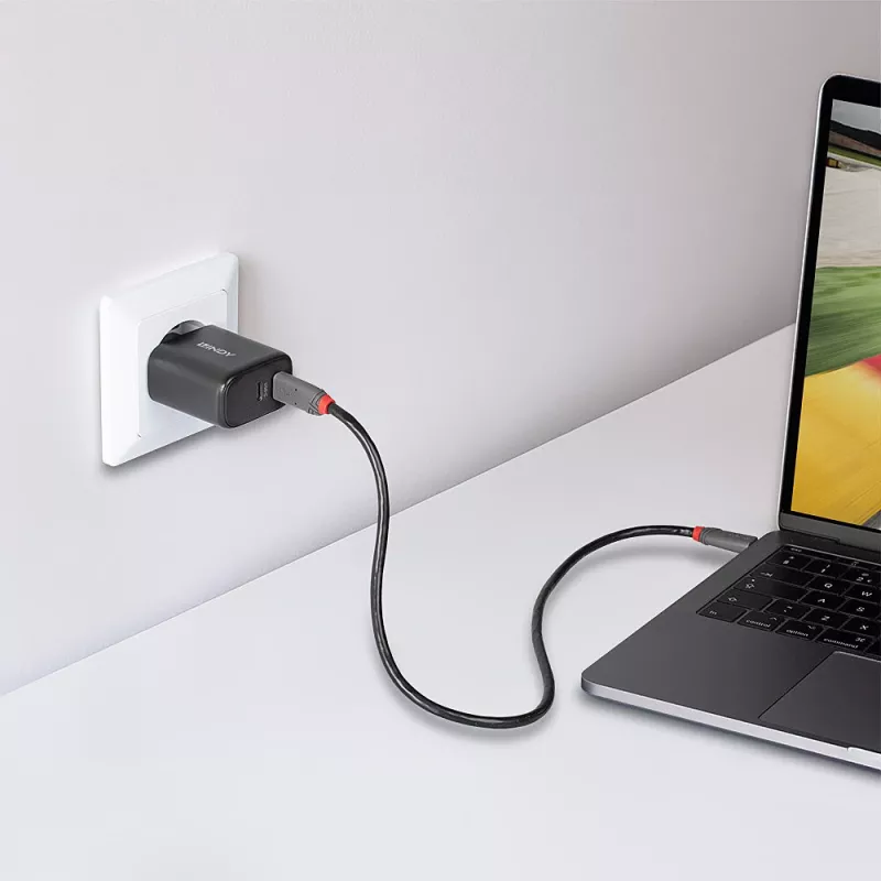 Lindy 65W USB 2 x Type C GaN įkroviklis 73438