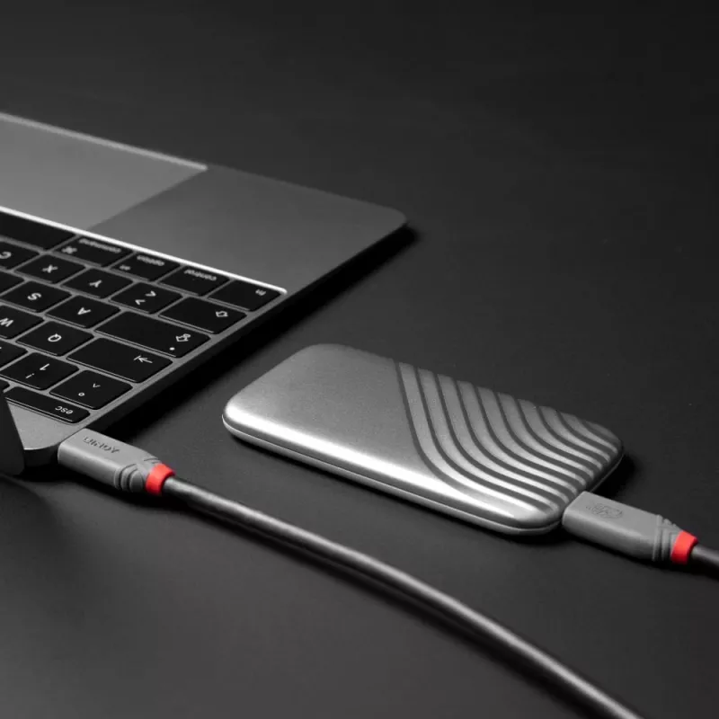 Lindy 0,8 m USB 4 240 W Type C laidas, Anthra Line