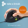 R-Go Tools ergonominė pelė R-Go HE Break su pertraukų programine įranga, vidutinė (tinka 165-185 mm rankai), dešinei rankai, laidinė, juoda