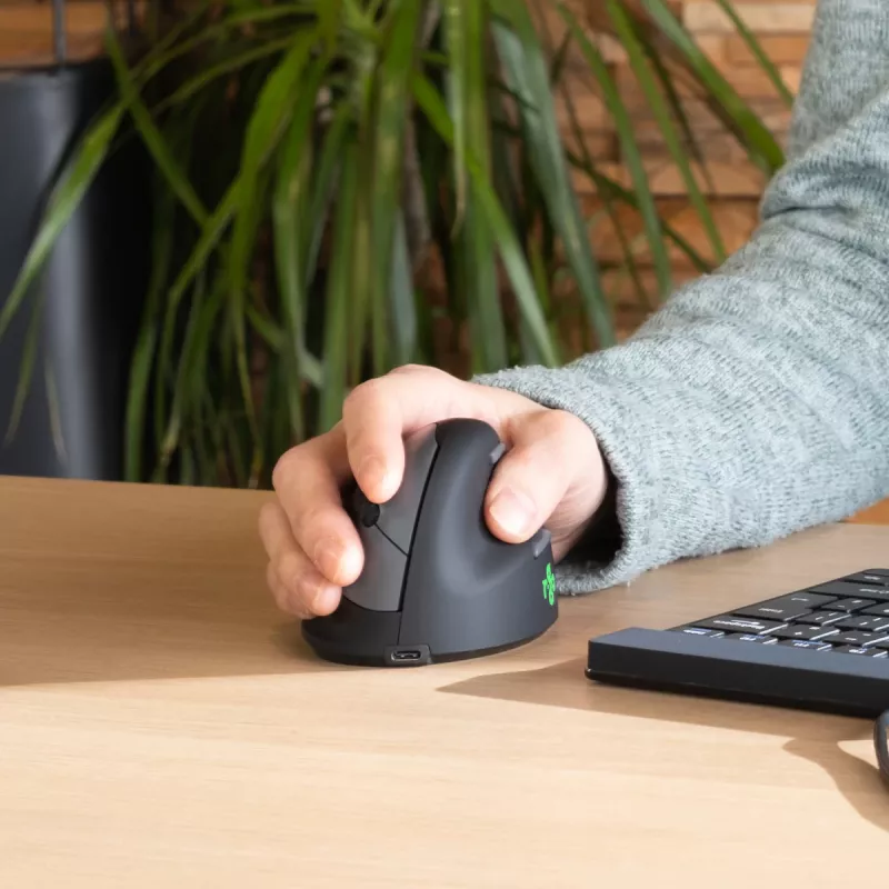 R-Go Tools ergonominė pelė R-Go HE Break su pertraukų programine įranga, maža (rankos dydis <165 mm), dešinei rankai, laidinė, juoda