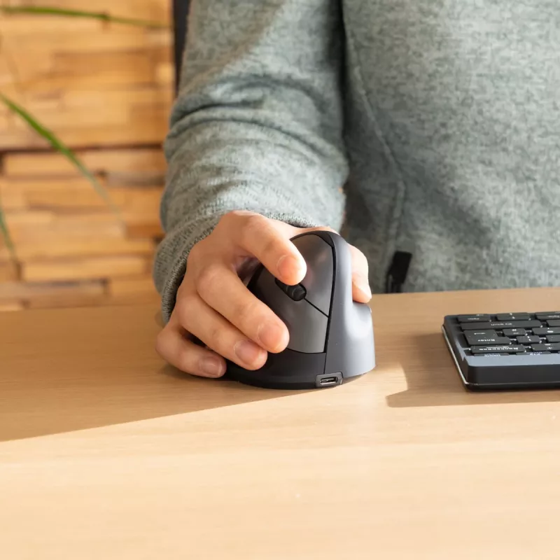 R-Go Tools ergonominė pelė R-Go HE Break su pertraukų programine įranga, maža (rankos dydis <165 mm), dešinei rankai, laidinė, juoda