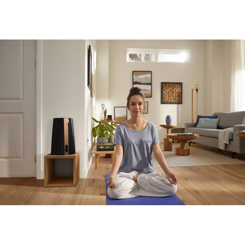 Philips 3000 serijos HU3918/10 drėkintuvas, mentelinis, 3 L, juodas, 25 W