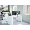 Neomounts NM-D775SILVERPLUS monitor laikiklis 10-49 colių - dujinė spyruoklė - Topfix - 180° stabdis