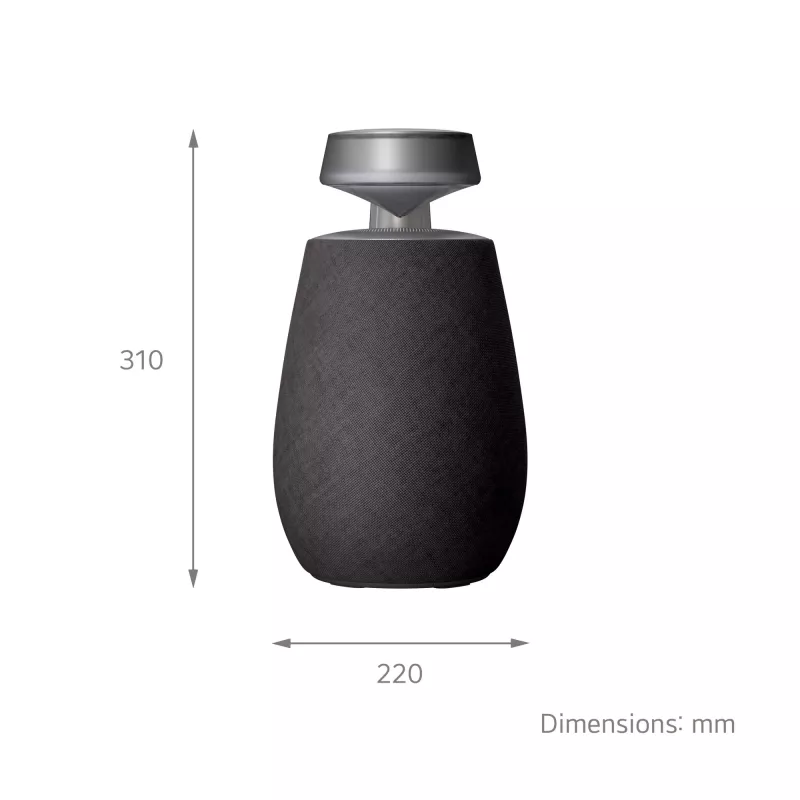LG XBOOM 360 Mono nešiojamas garsiakalbis Juodas 20 W