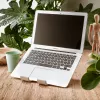 R-Go Tools Laptop ir planšetinio kompiuterio stovas R-Go Treepod, ergonomiškas ir modulinis, reguliuojamas, biopagrįstas