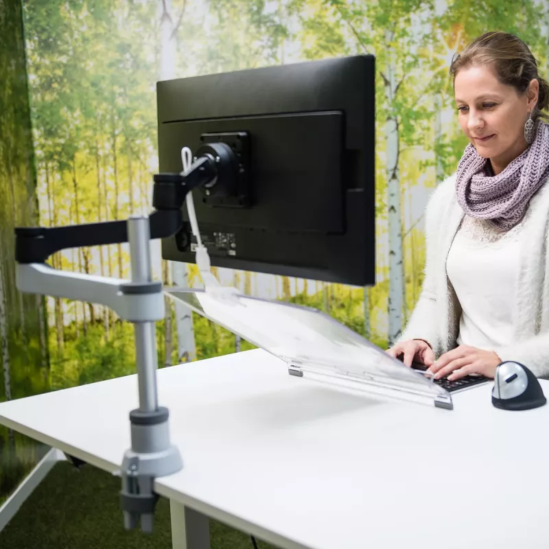 R-Go Tools R-Go Morelia dokumentų laikiklis, modulis su Caparo ir Zepher monitoriaus ranka