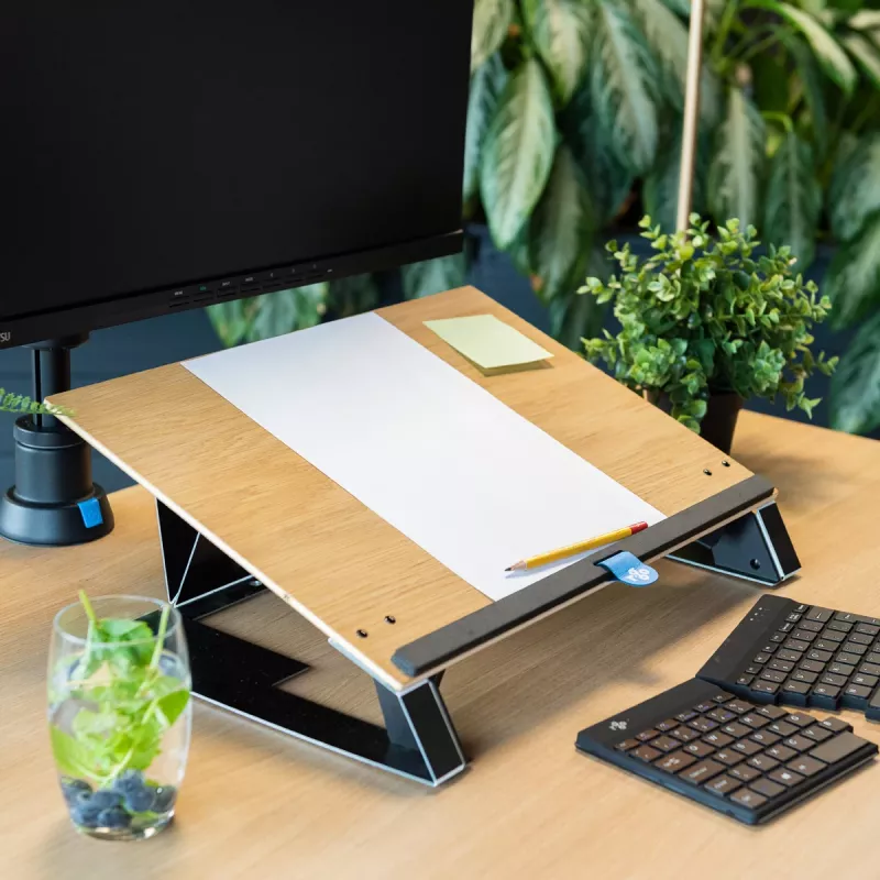 R-Go Tools dokumentų laikiklis R-Go Read2Write, skirtas skaitymui ir rašymui, ergonomiškas, su minkštu putplasčio riešo atramu, ąžuolo mediena