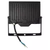 LED lauko prožektorius OLLO VS121C-50W-RGB — 50 W, 4750 lm, RGB