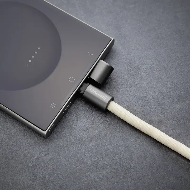 USB-C laidas Intenso Handykette 1,65 m, pintas nailonas, smėlio spalvos