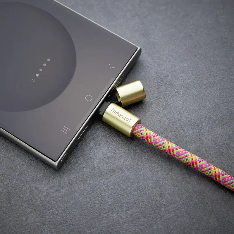 Intenso USB-C pakabinamas telefono laidinis dirželis 60W greitasis įkrovimas reguliuojamas ilgis 1,65m nailonas įvairiaspalvis