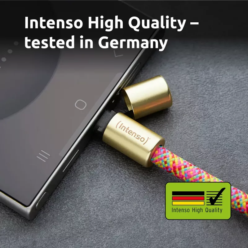 Intenso USB-C pakabinamas telefono laidinis dirželis 60W greitasis įkrovimas reguliuojamas ilgis 1,65m nailonas įvairiaspalvis