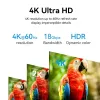 HDMI kabelis Vention 1M Juodas 18 Gbit/s 2.0