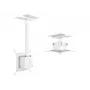 Multibrackets M Projector Mount Pro HD 40kg Baltas lubinis laikiklis